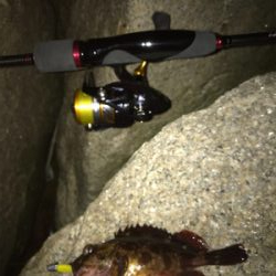 メバリングのつもりがガシリング