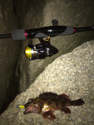 メバリングのつもりがガシリング