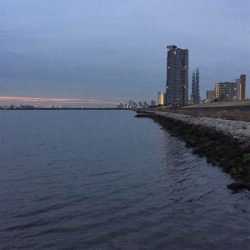 淀川ブリームゲーム