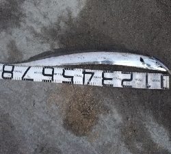 2/15釣果タチウオ1メートルありました!