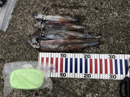 大潮に期待したけど……