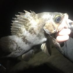 洲本温泉メバル3種盛り!