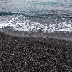 また、メジロが釣れました!!