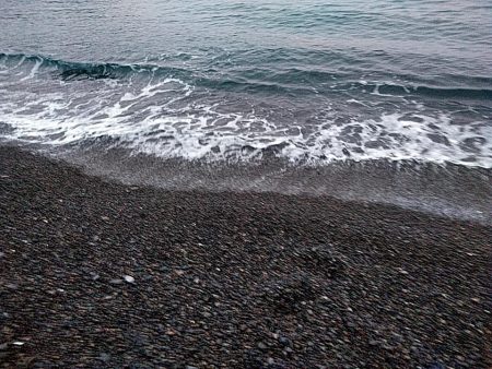 また、メジロが釣れました!!