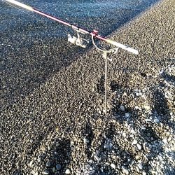 何とか　一杯確保です(#^^#)