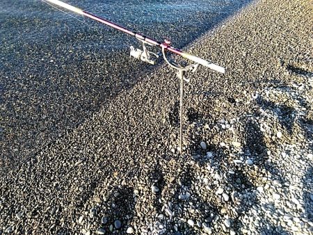 何とか　一杯確保です(#^^#)