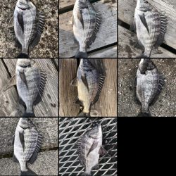 イチノ兄弟、釣果!