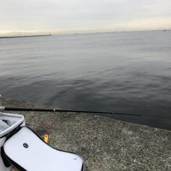 エビでサバを釣る@西宮ケーソン