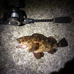 2020初釣り!プレミアム魚ゲット!