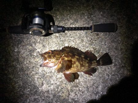 2020初釣り!プレミアム魚ゲット!