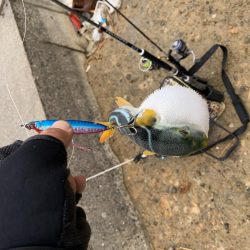 デイアジングで・・・えっ!