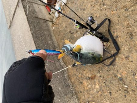 デイアジングで・・・えっ!