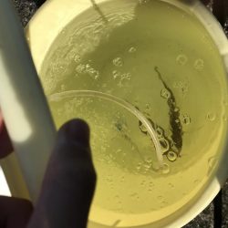 またお前か！2日連続で50up!