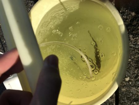 またお前か！2日連続で50up!