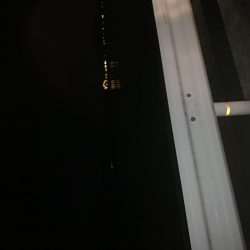 ひたすら寒いが魚は居た!