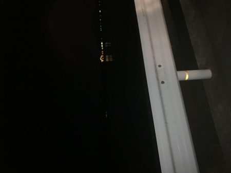 ひたすら寒いが魚は居た!