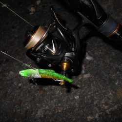 さむい…ちべた～い