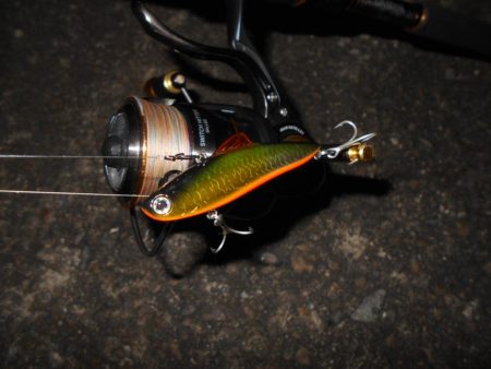 足元も忘れずに…