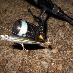 ボトムで反応有り