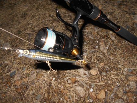 ボトムで反応有り