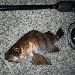 本日も荒れてます