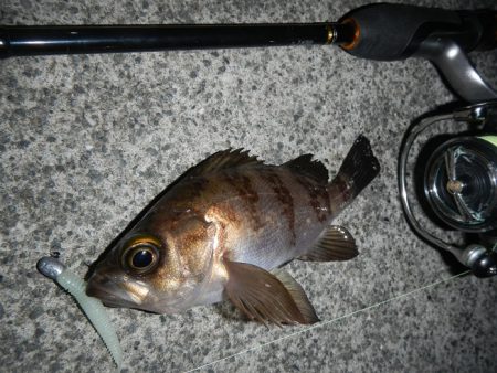 本日も荒れてます