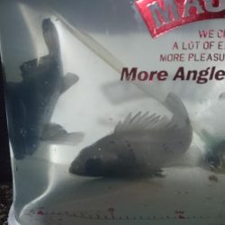 少しだけメバリング