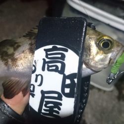 ボトム攻め！！