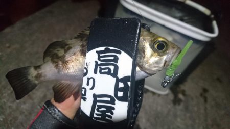 ボトム攻め！！