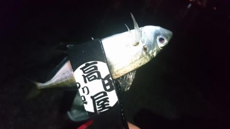 バレンタインアジ