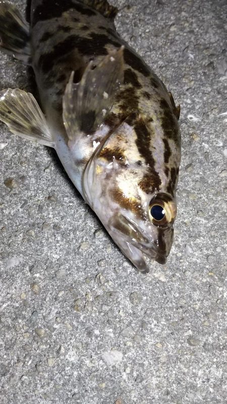 タケノコゲーム