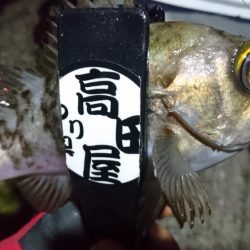 今夜もボトム！！