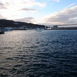 入れ食いでした！