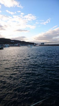 入れ食いでした！