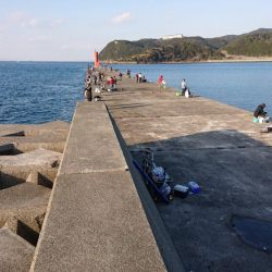 青物まったく(泣)