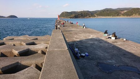 青物まったく(泣)