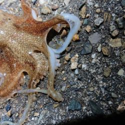 極寒で指が痛い