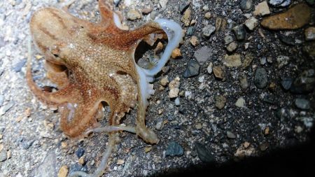 極寒で指が痛い