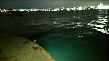 極寒メバリング