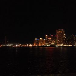 ぶらシーバス！！