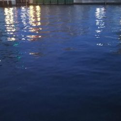 ぶら河川調査！！