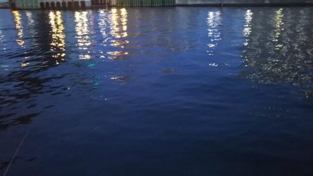 ぶら河川調査！！