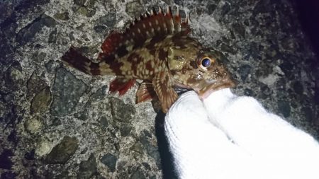 場所を変えてみた