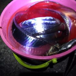 父とタチウオ釣行。