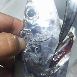 あきらめかけた時にドラマがありました。