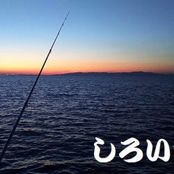 和歌山北部を３か所回って、タチウオゲット！