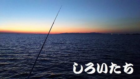 和歌山北部を３か所回って、タチウオゲット！