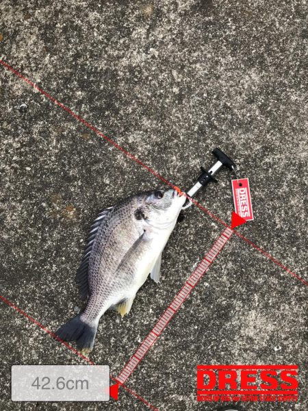 2月25日流れに逆らい連発