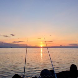 カレイ自己記録 W更新