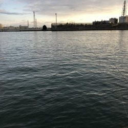 早朝から人だらけ